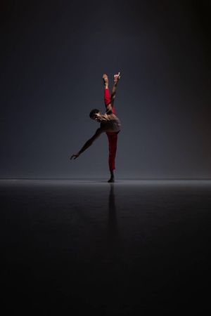 Firebird – A Double Bill production image