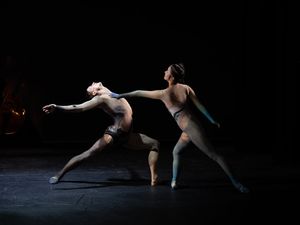 Ballet Academy of the Vienna State Opera production image